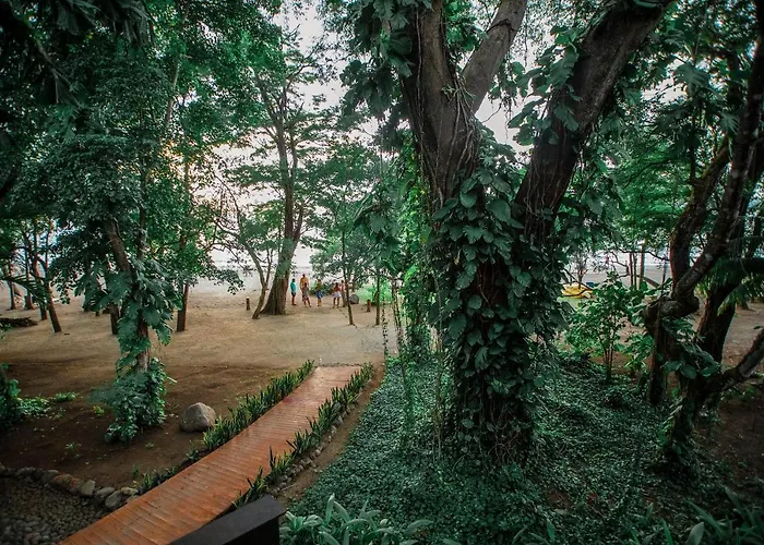 Bosque Del Mar