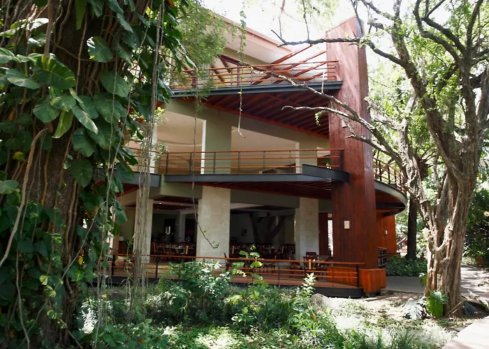 Bosque Del Mar Hotel