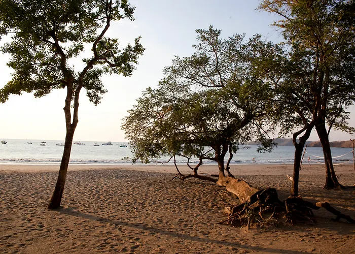 Bosque Del Mar 5* Playa Hermosa (Guanacaste)