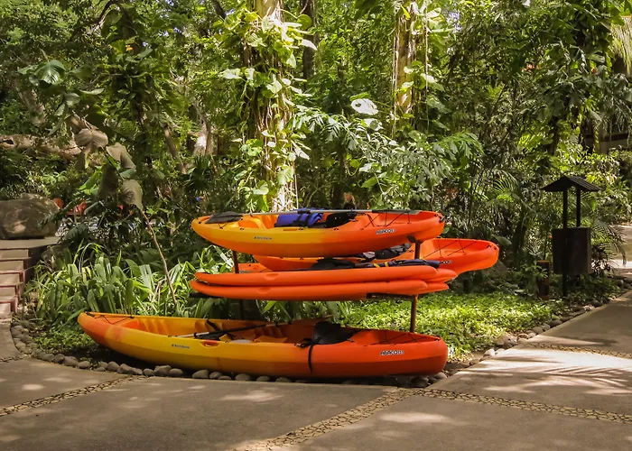 Bosque Del Mar