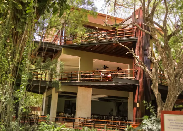 Hotel Bosque Del Mar 5*